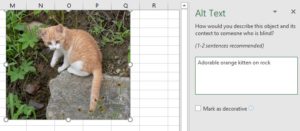 Screenshot of adding alt text in Excel for accessibility