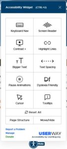 screenshot of userway accessibility widget