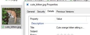 Screenshot of adding title to image details in Windows.